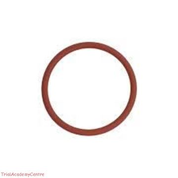 Immagine di Oring collettore Gas Gas