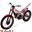 Immagine di Kit adesivi completo Beta Evo  2014 FACTORY