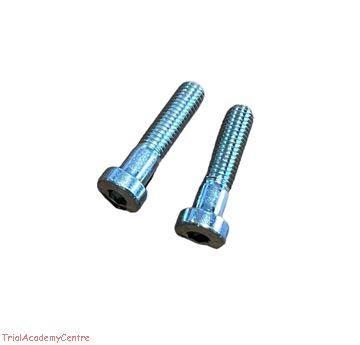 Immagine di Bullone cavallotto manubrio Beta Evo Standard