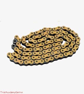 Immagine di Catena Regina EB oro 520