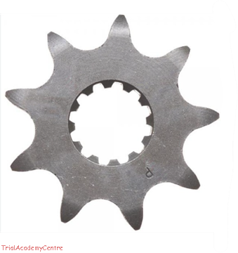Immagine di Pignone Beta Techno-Rev-Evo 2t-4t 1998-2025 Jitsie